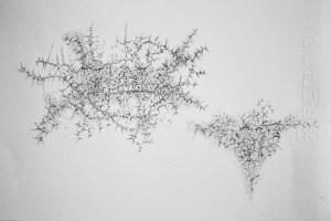 Male Female, pencils on paper, 70 x 100 cm.