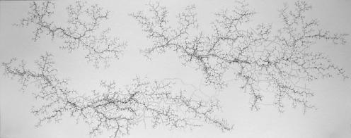It has been a strange Spring  this year I, pencils on paper, 45 x 100 cm
