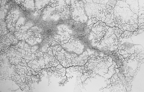 Under my Skin, a.m. (detail).