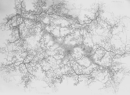 Under my Skin a.m. pencils on paper, 70 x 100 cm.