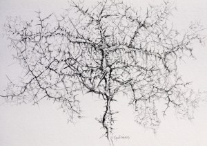 ????????????????????????????????????