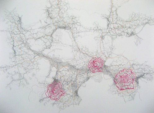 Rossa, pencil, cotton threads on paper, 50 x 70 cm.