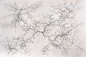 Note for a Violent Day III, pencils on paper, 50 x 70 cm.