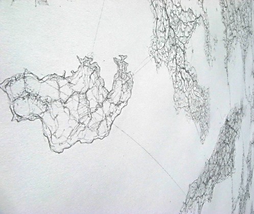 This is not a Territory,( detail).