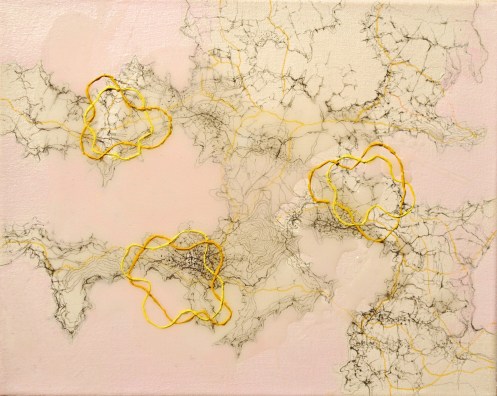 Thinking of a New Land